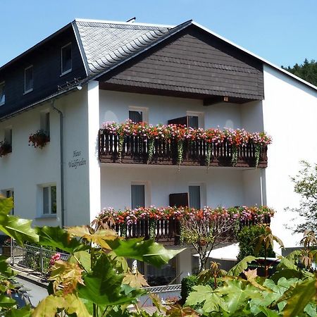 Pension Haus Waldfrieden, Meinecardplus Inklusive Willingen  Exterior foto