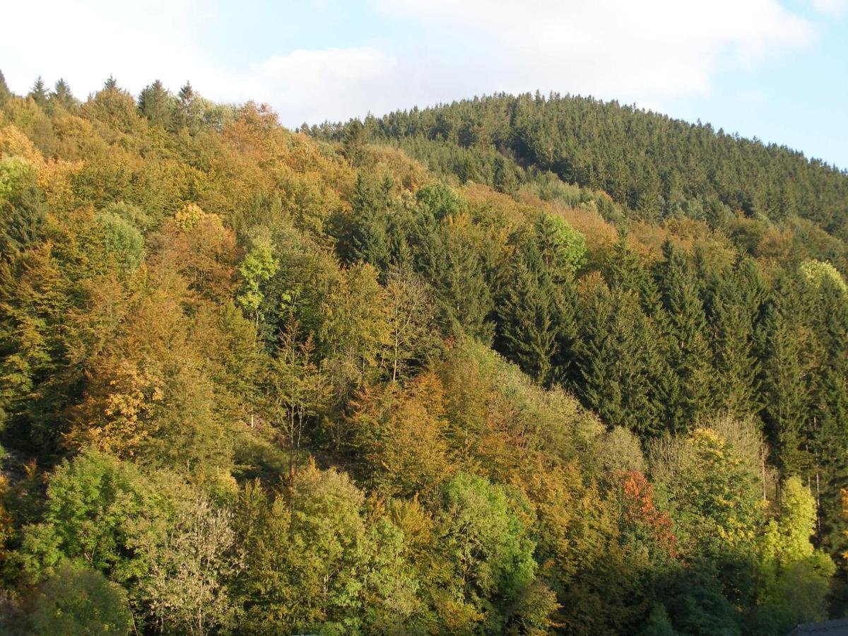 Pension Haus Waldfrieden, Meinecardplus Inklusive Willingen  Quarto foto