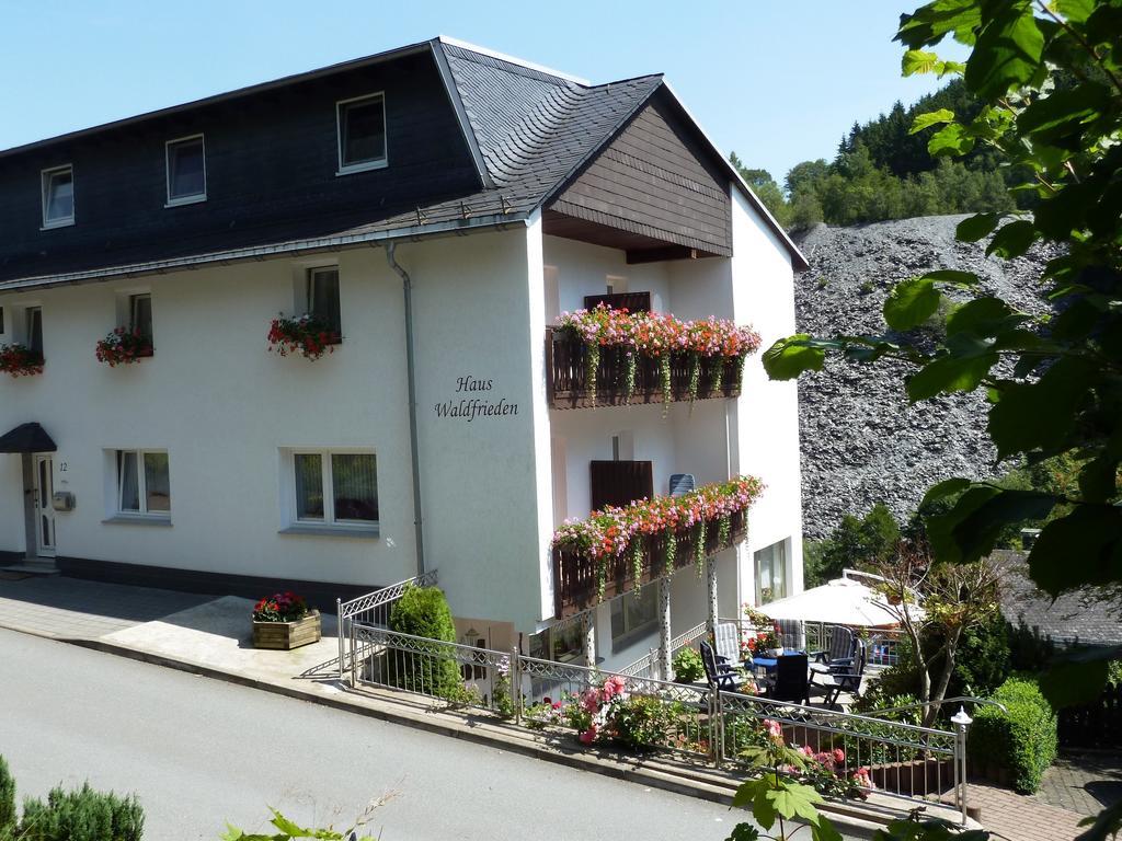 Pension Haus Waldfrieden, Meinecardplus Inklusive Willingen  Exterior foto