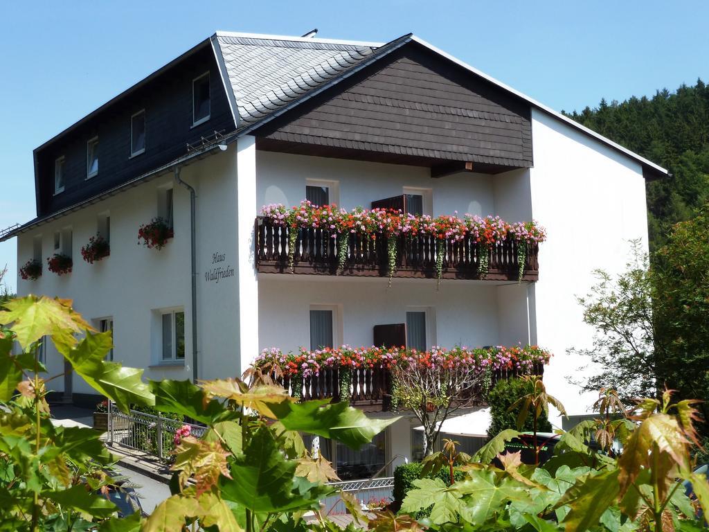 Pension Haus Waldfrieden, Meinecardplus Inklusive Willingen  Exterior foto
