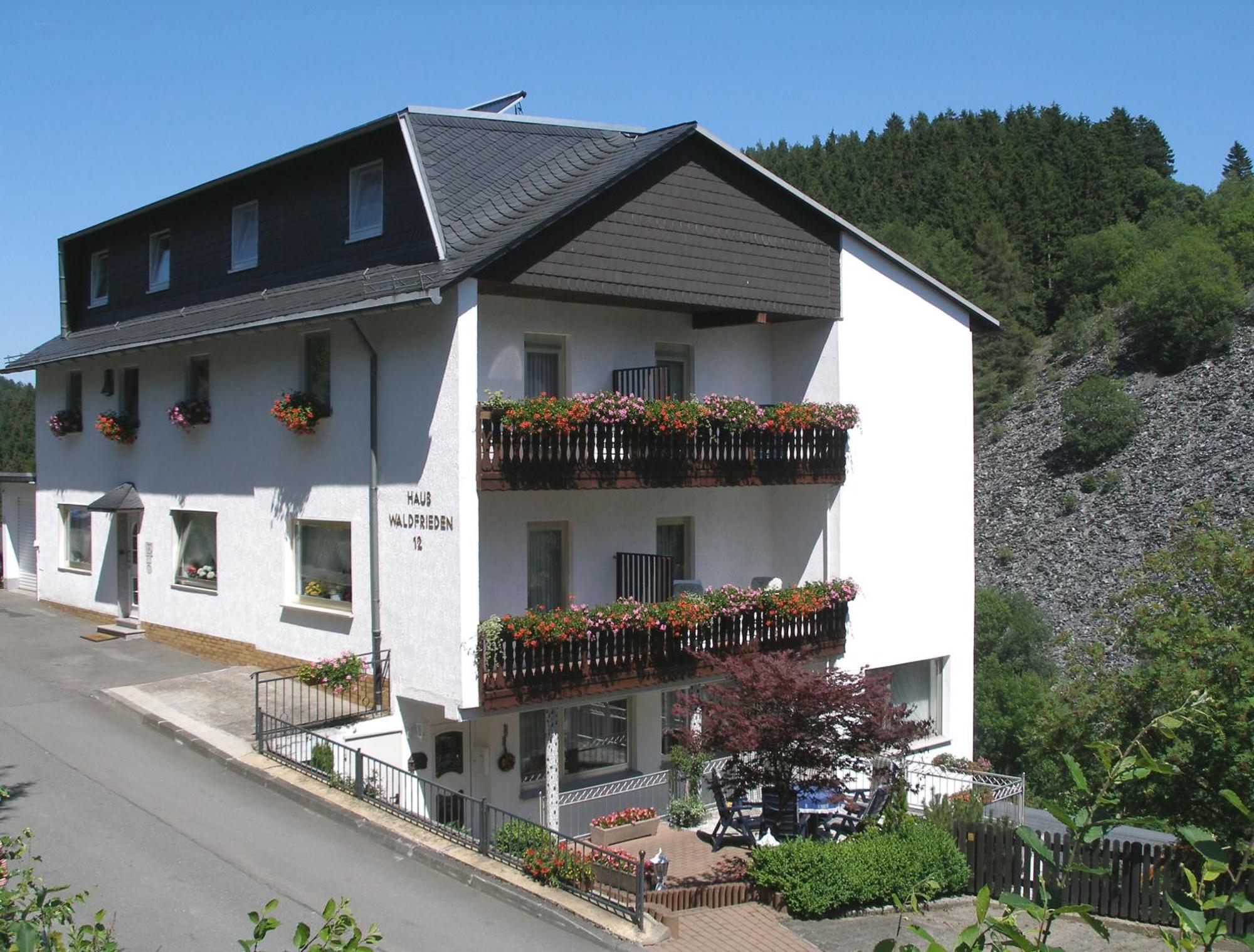 Pension Haus Waldfrieden, Meinecardplus Inklusive Willingen  Exterior foto