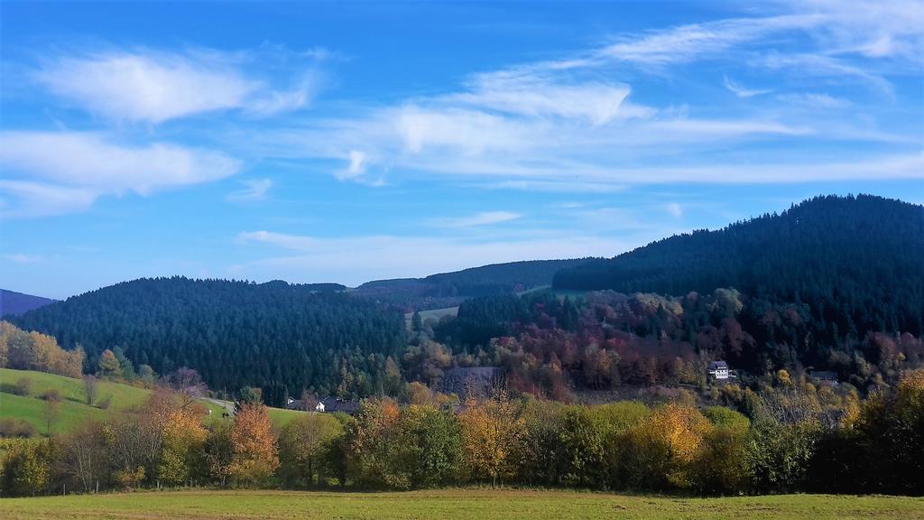 Pension Haus Waldfrieden, Meinecardplus Inklusive Willingen  Exterior foto