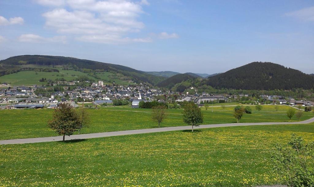 Pension Haus Waldfrieden, Meinecardplus Inklusive Willingen  Exterior foto