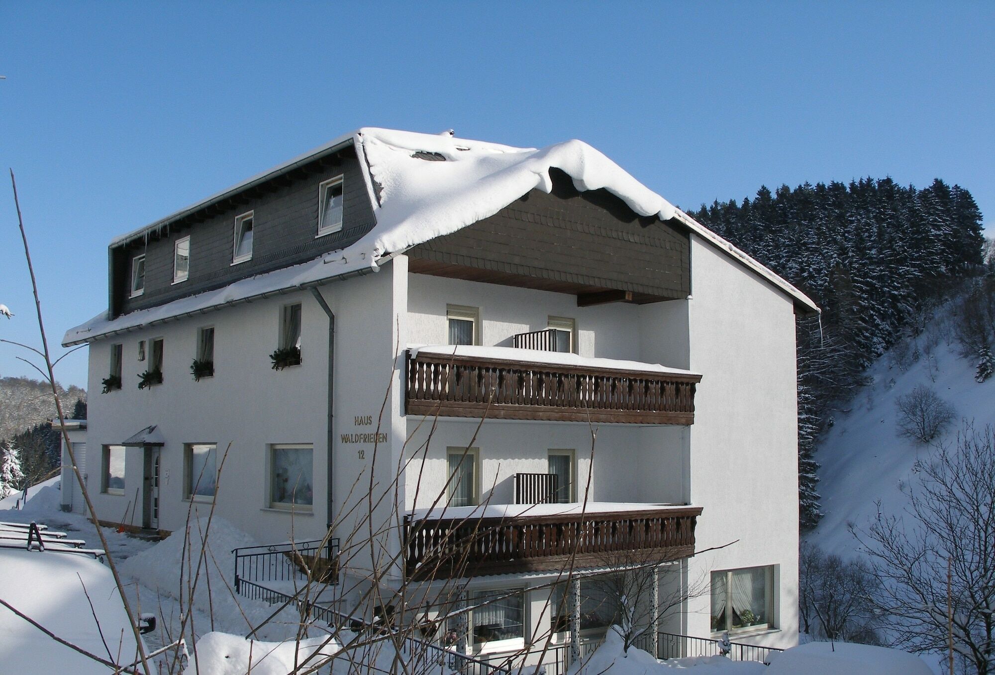 Pension Haus Waldfrieden, Meinecardplus Inklusive Willingen  Exterior foto