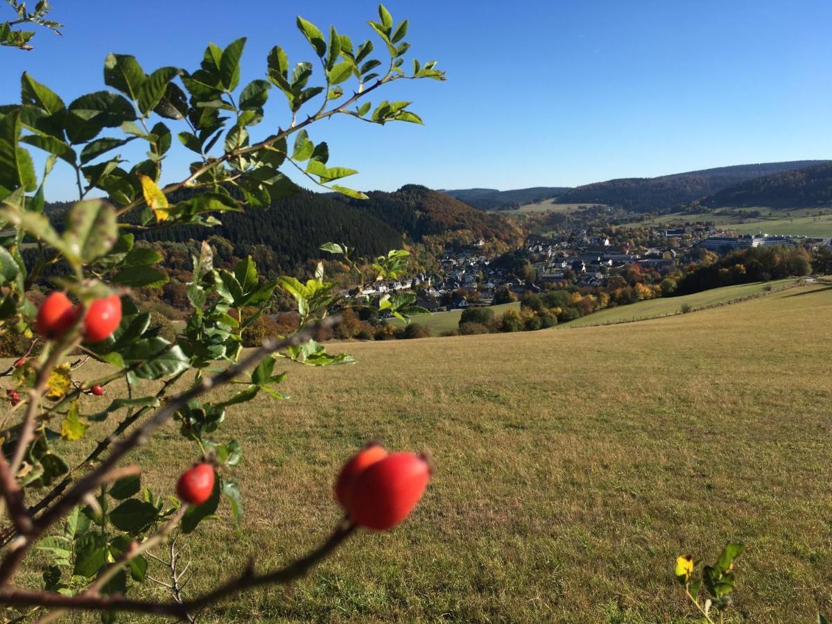 Pension Haus Waldfrieden, Meinecardplus Inklusive Willingen  Exterior foto